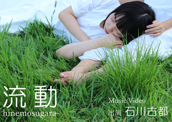 終日柄・流動