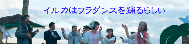 イルカはフラダンスを踊るらしい