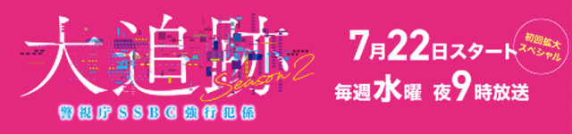 Daitsuiseki2_banner
